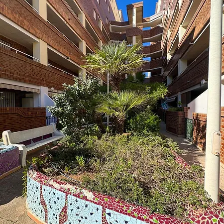 El Bajo Oropesa del Mar